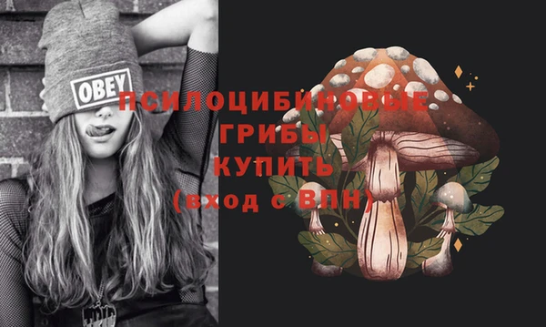 марихуана Белокуриха
