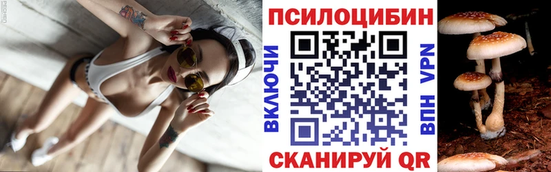 блэк спрут ссылка  Корсаков  Галлюциногенные грибы Magic Shrooms 